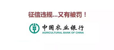 征信信息岂能被不当触碰 从农行再遭处罚看金融个人信息保护之重