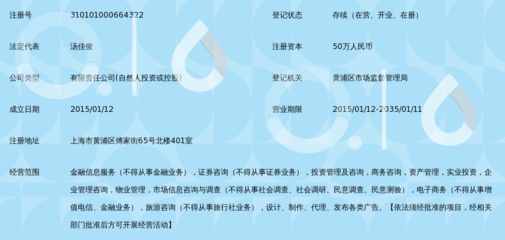 上海宣懿金融信息服务深度解析 专业金融信息咨询的价值与实践